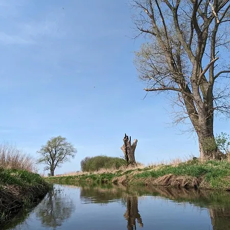 Dom W Dolinie Baryczy Nyaraló Odolanów