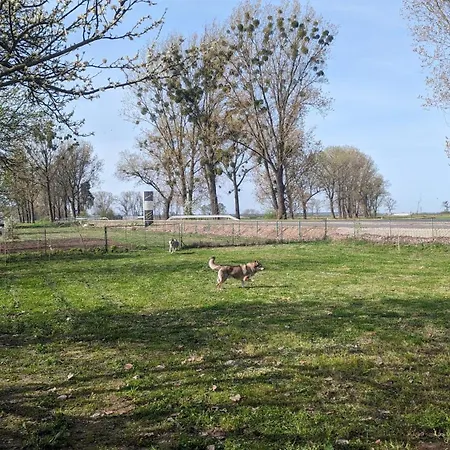 Dom W Dolinie Baryczy Nyaraló Odolanów